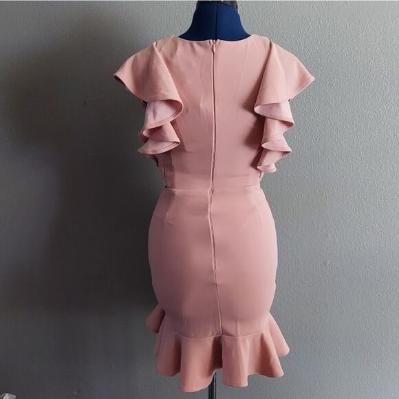 HELLO MOLLY TAKE CHANCES DRESS BLUSH RUFFLE MINI SIZE 4 - Picture 6 of 14